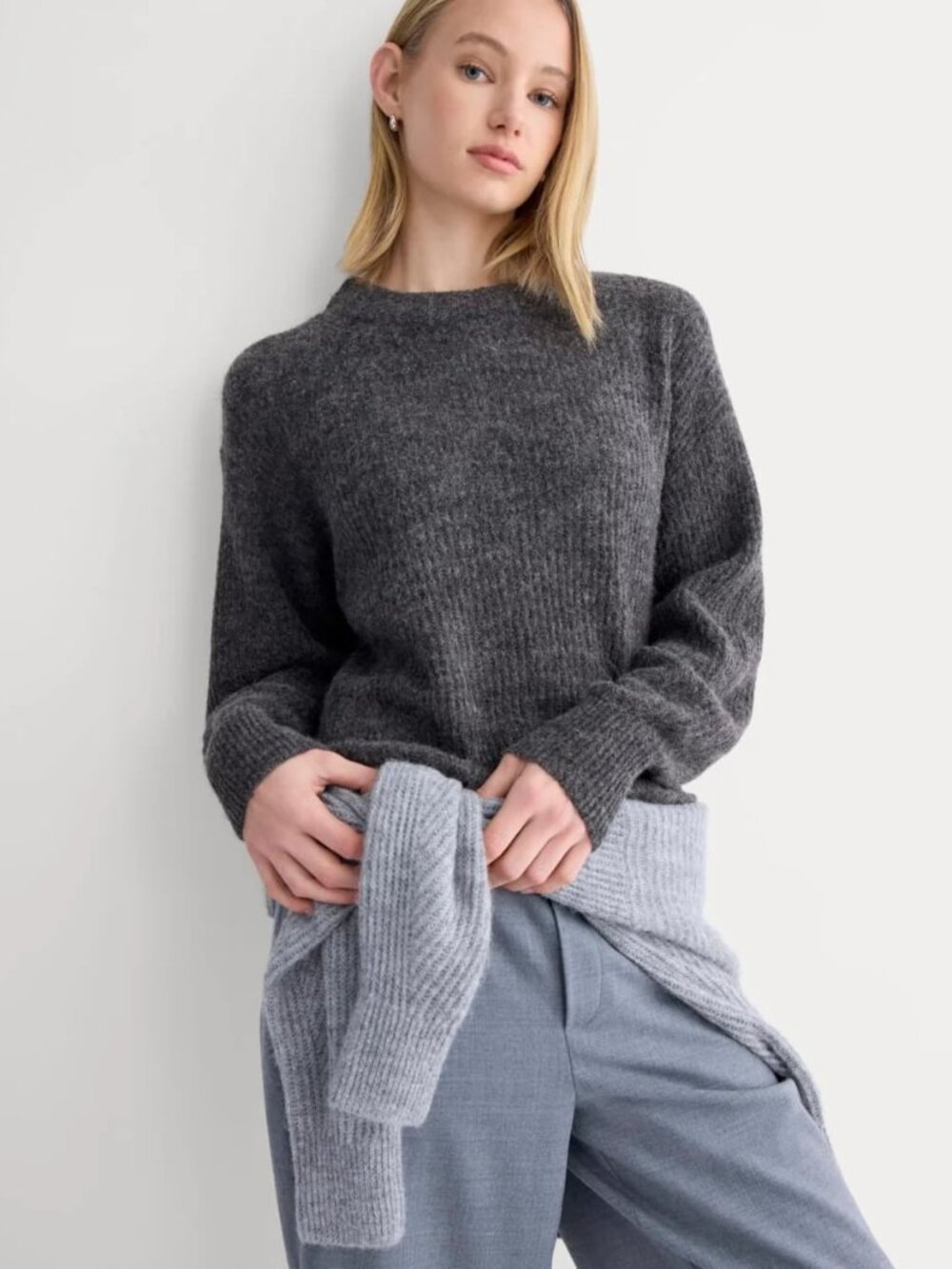Everlane Cocoon Crew in Alpaca